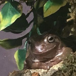 Meet your Posher, Ava